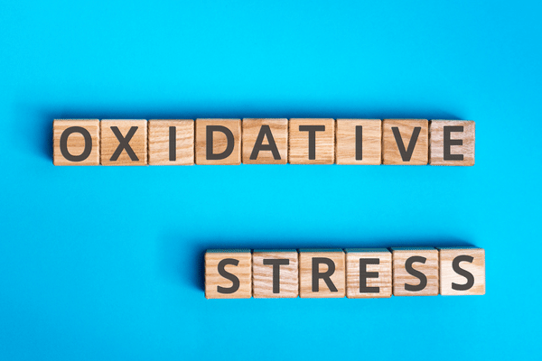 Oksidatif Stres ve Hastalıklar
