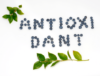 Antioksidanlar Nedir?